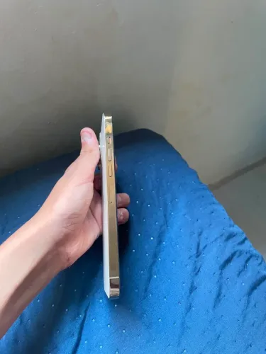 iPhone 13 Pro Max 256g