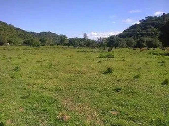 Fazenda para Venda em Cachoeiras de Macacu, Vecchi, 6 dormitórios, 2 suítes, 2 banheiros,