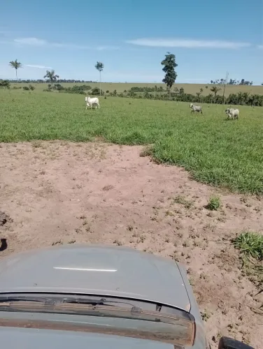 Sítio Alto Alegre dos Parecis RO