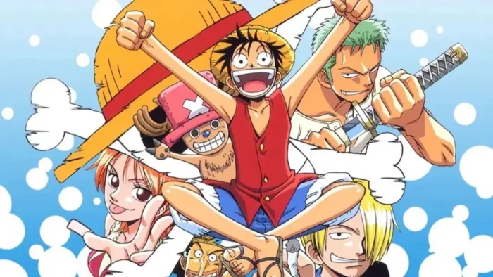 Lona do One piece 