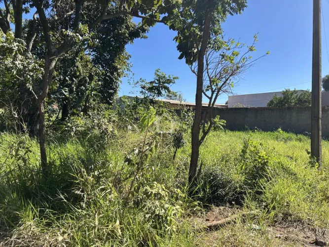 TERRENO RANCHO ALEGRE