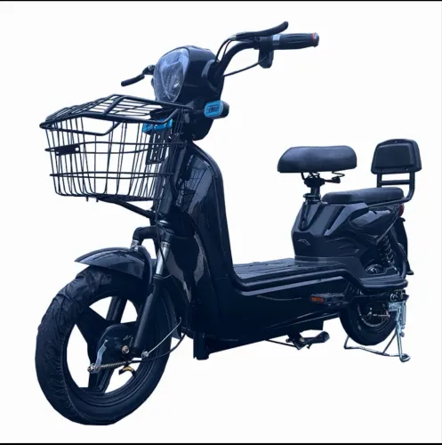 Moto Elétrica - Motric 500W