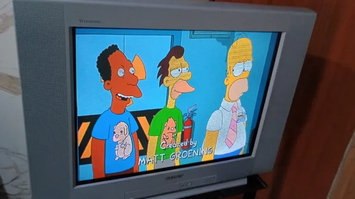 Tv Sony WEGA 29 polegadas