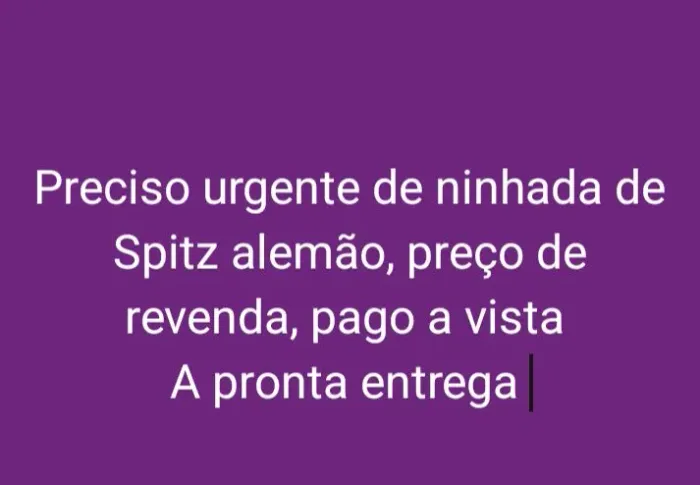 Compra-se Ninhada de Spitz alemão filhote a pronta entrega 