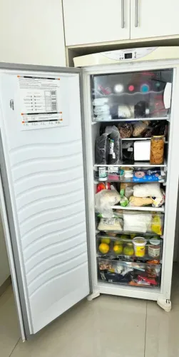 Frederico Flex Brastemp 228 litros