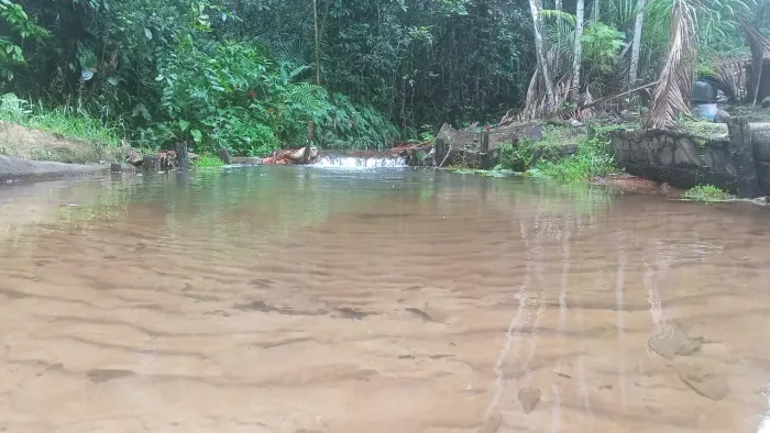 Vendo Sítio km 48 ponta da Rua estrada Castanhal/Curuçá Ananim