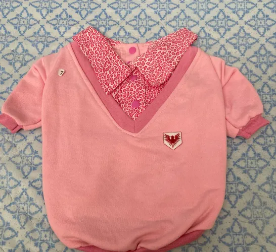 Roupa para pet 