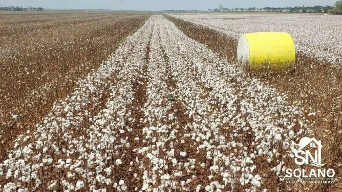 FAZENDA EM TANGARÁ DA SERRA MT