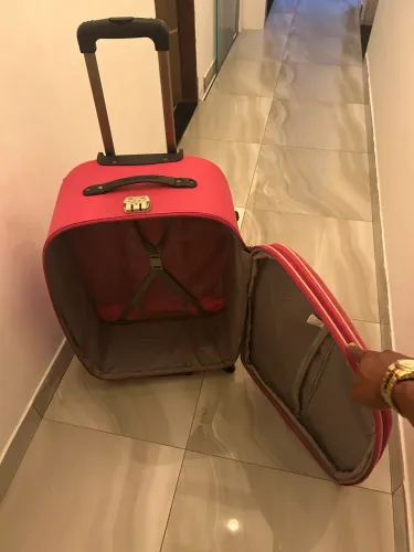 Mala de viagem grande 