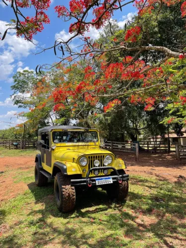 Willys Overland Jeep 2.6 12V Gasolina 2P 1961