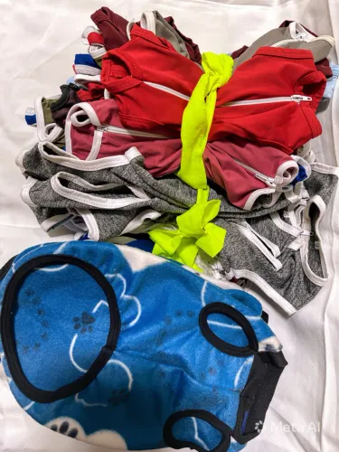 Lote de roupa cirúrgica para pets