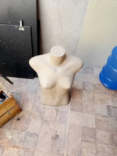 Busto feminino 