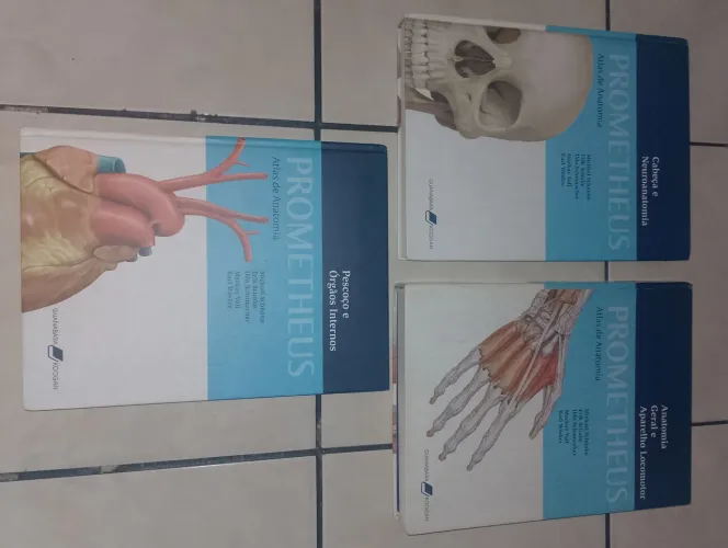 Altas anatomia 03 livros