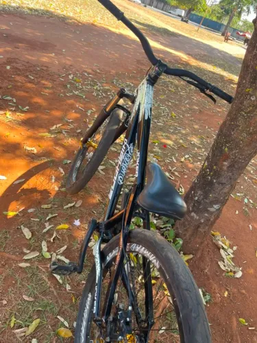 Bicicleta
