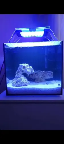 Aquario Marinho 70 litros