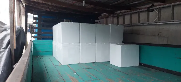 Caixas de isopor 44litros com tampa e parede dupla 