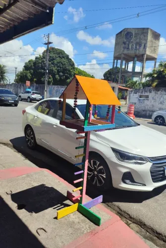 Playground para animais