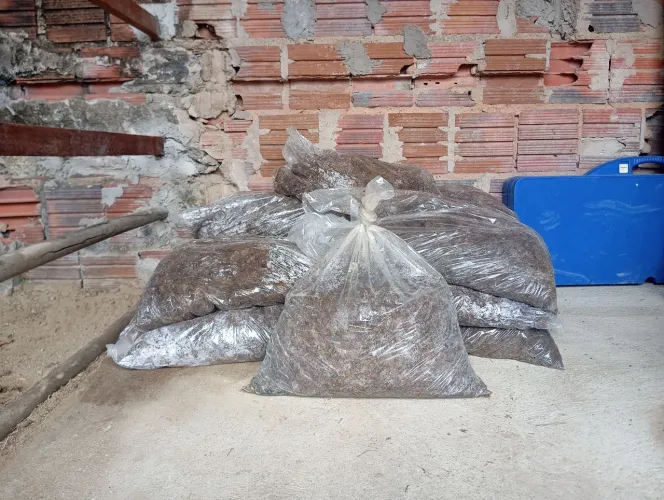 Esterco de cavalo (adubo)