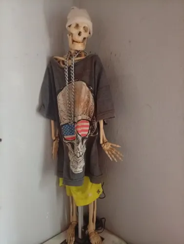 Esqueleto decorativo 