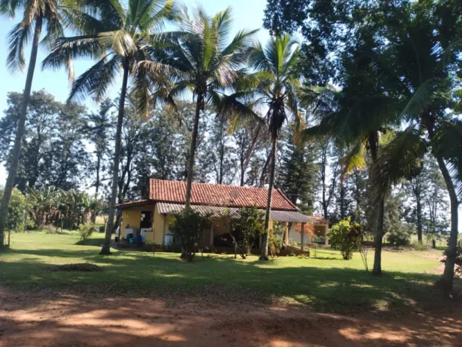 *EXCELENTE FAZENDA EM LARANJA NA REGIÃO DE MARÍLIA - SP* ?? ? Área Total: 77,5 Alqueires o