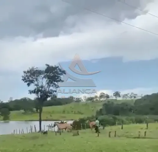 Fazenda - Patos de Minas - Zona Rural