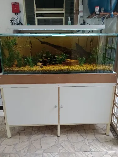 Vendo aquário