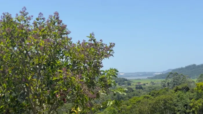 Sitio de 2 Hectares em Imarui. com vista para a Lagoa.