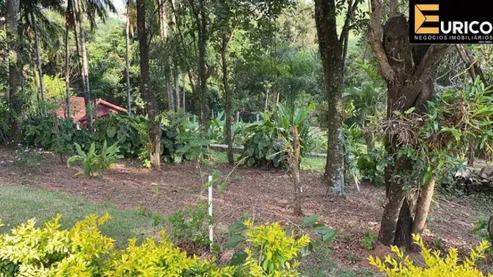 Sítio à venda no Monte Alegre em Vinhedo/SP