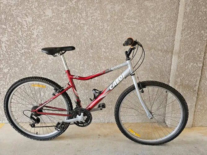 Montain Bike Caloi Terra Vintage anos 2000 21 Marchas