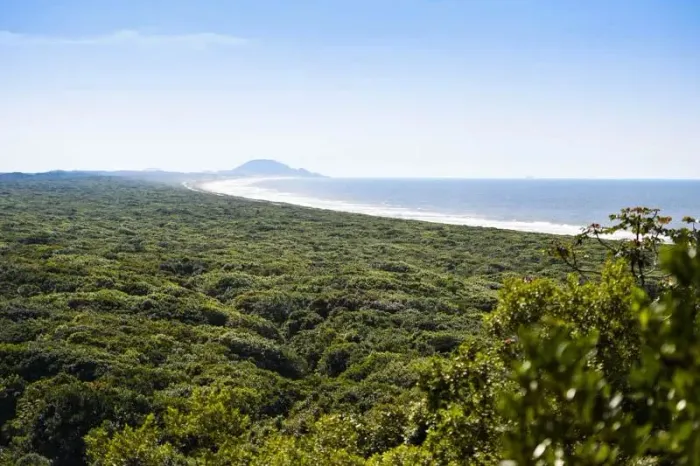COMPENSAÇÃO AMBIENTAL DIRETA