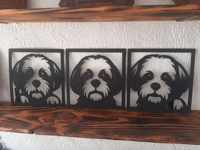 Quadros Decorativos Shih Tzu - Conjunto 3 Peças