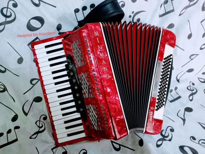 ACORDEON MINUANO 80 BXS OITAVADA NOVA 