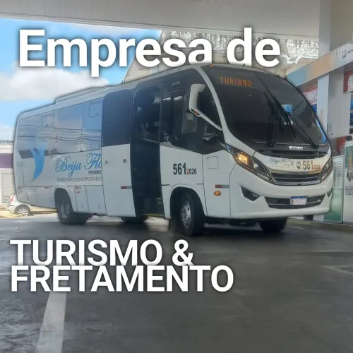 Beija Flor Fretamentos e Turismo em Fortaleza