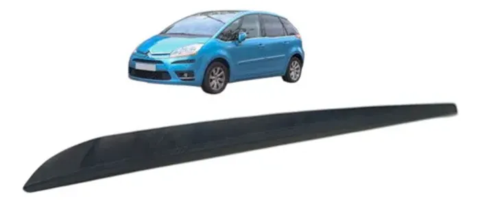 Friso Traseiro Esquerdo Citroen C4 Picasso 2009 Detalhe