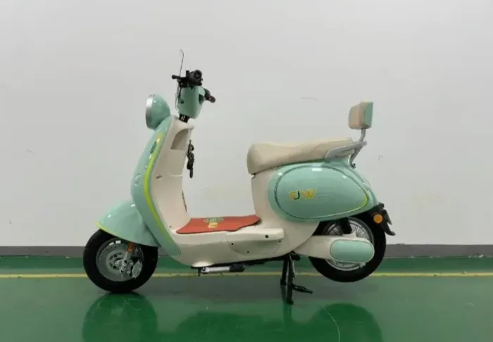 MOTO ELETRICA TFW  RETRO 800W 