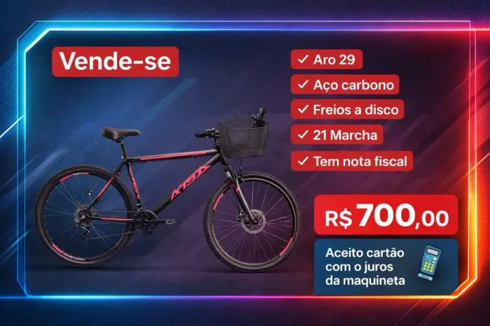 Bicleta aro 29