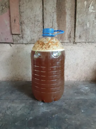 Mel de abelha canudo