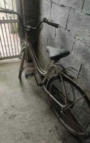 Bicicleta Ceci