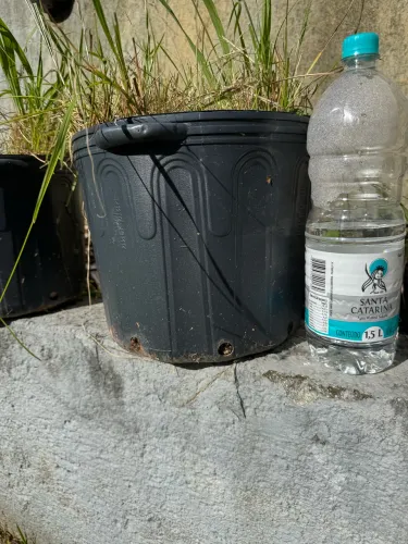  7 vasos grandes de plástico para plantas 