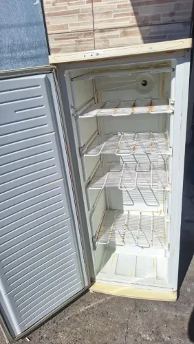 Freezer vertical