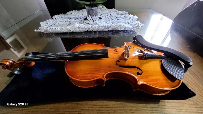 Viola classica 