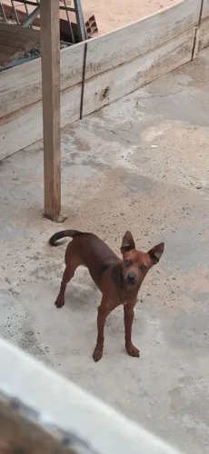 Doação