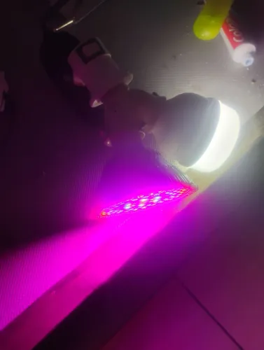 Led cultivo indoor purple 45w Perfeito estado!!