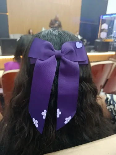Laços e tiara para cabelo 