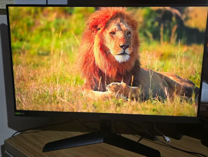 Monitor Gamer LG UltraGear 180hz