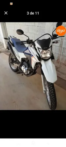 Broz 160 2024