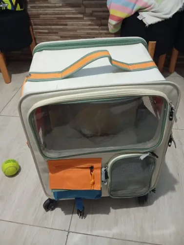 Carrinho para pets e gatos