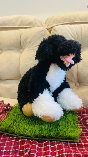 Ursos de pelúcia 
