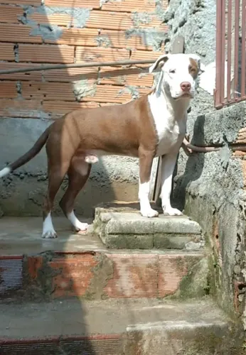 Doação