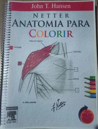 Cópia Anatomia para colorir - Livro Netter